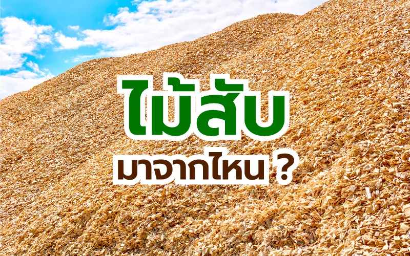 ไม้สับ มาจากไหน ?